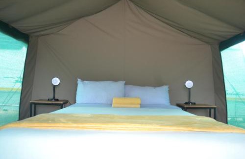 Skukuza Other | Yebo Safari Tents-Stay Inside Kruger