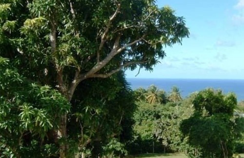 Barnes Ghaut Villa | Yellow Bird Villa