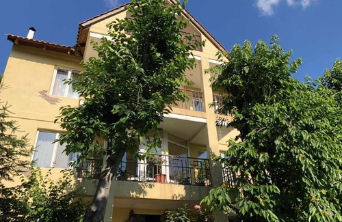 Parpi House | Yellow Guest House