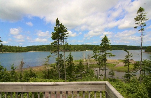 Walkerville Cottage | Yellownose House by the sandy beach