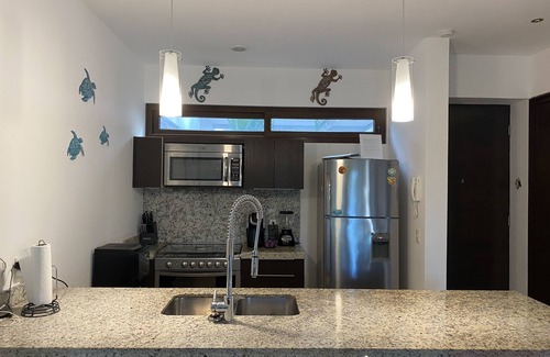 Akumal Condo | Your Dream Getaway Awaits at TAO Residential