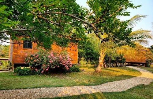San Ignacio Cabin | Yumas Riverfront Lodge