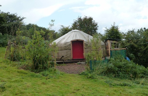 Callington Cabin | Yurt [sleeps up to 6] & Bathhouse in E Cornwall UK - 5* Off-Grid
