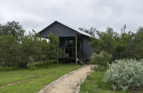Die Barakke Cabin | Sleep Whiskers away from the Lions and " FEEL " them ROAR! Cabin 1