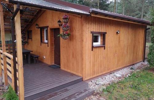 Ostrow Wielki Apartment | Zacisze u Ani