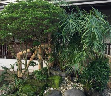 San Pablo Resort | Zacona Eco-Resort & Biblical Garden