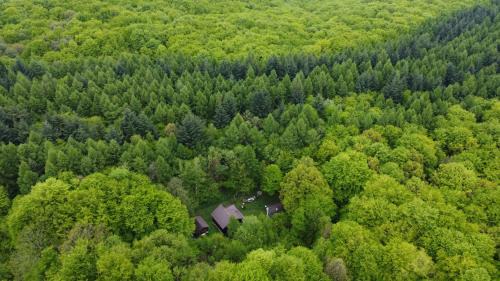 Feleacu House | ZADA nature lounge