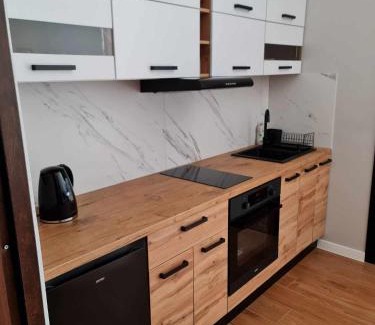 Zywiec Apartment | Zamkowa Apartament