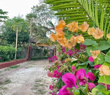 Marumbi Apartment | Zanzllywood Hotel and Apartments