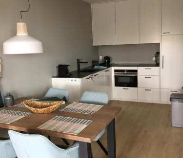 Egmond aan Zee Apartment | Zeesterflat 117