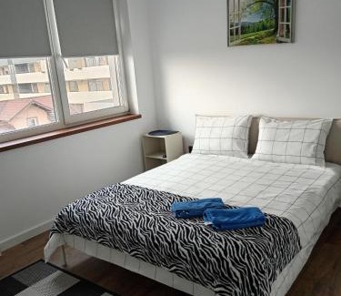 Sinnicoara Apartment | Zen aeroport
