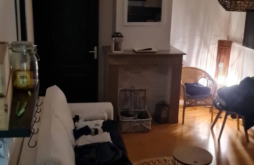 Le Marais Apartment | ZEN AND COZY PRIVATE APARTMENT LOMME.EURATECHNOLOGIE METRO 4 PERSONS