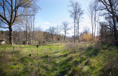 Ladern-sur-Lauquet House | Zen Experience including Yoga & Healthy food