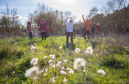 Ladern-sur-Lauquet House | Zen Experience including Yoga & Healthy food