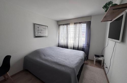 Sandrain Apartment | Zentrale 1-Zimmer-Wohnung Marzili Bern