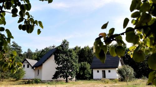 Narol House | Zielona Perspektywa Agroturystyka