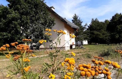 Narol House | Zielona Perspektywa Agroturystyka