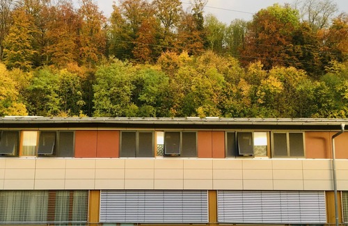 Loerrach Apartment | Zimmer 2, 15qm, max 3 Personen