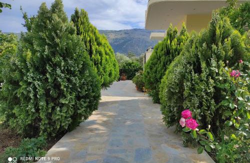 Plataria Apartment | ziogas apartments