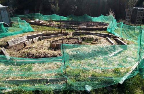 Banne Cabin | Zome space of energy and vibratory. Forest edge in hamlet in the middle of nature