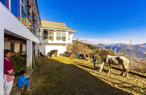 Cheog House | Zostel Homes Cheog (Shimla)