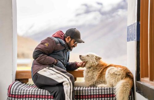 Kaza Hostel | Zostel Spiti