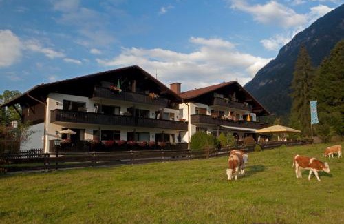 Muhldorfl Apartment | Zugspitz Traumapartment