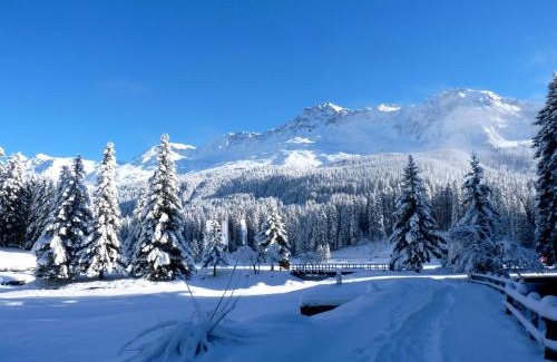 Lenzerheide Apartment | Zuhause in den Alpen Ihre Ferienwohnung mit Hallenbad und Sauna
