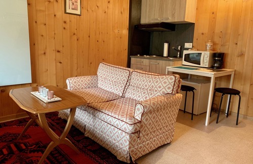 Zweisimmen Apartment | Zweisimmen Budget Mountain View Room