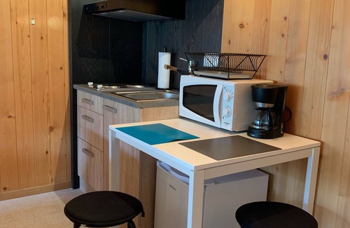 Zweisimmen Apartment | Zweisimmen Budget Mountain View Room