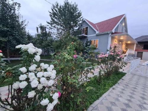 ВИЛЛА/VILLA