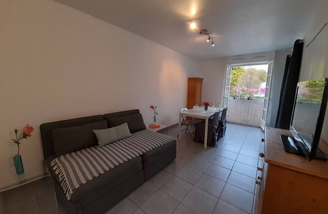 1-BR in city center with WiFi and elevator in La Roche-Posay