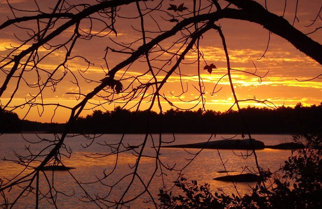 11 Acre Private Island 50's Style Retreat - 3 Bdrm Cottage + 2 Bed Bunkie, plus.