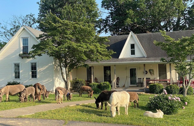 1884 Farmhouse at Donkeytown Designed for large get togethers!