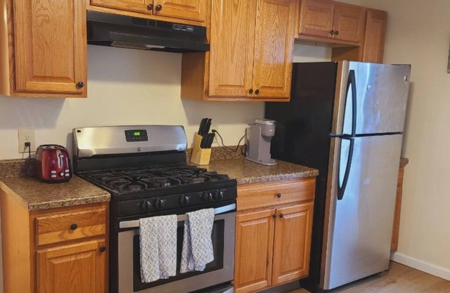 26 Columbia - 3 bdrm apt in City Center Oneonta, walkable to Main St