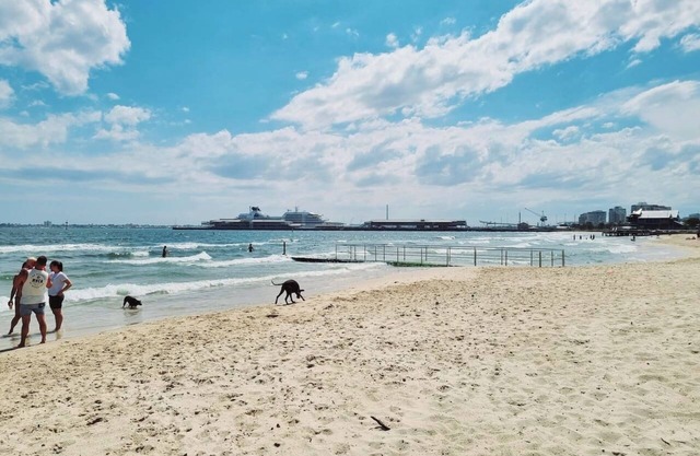 3 minute walk to Dog Beach - Pet Friendly - Car