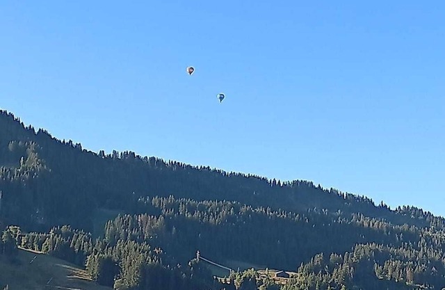 315 - Praz sur Arly