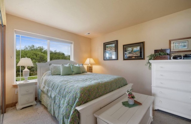 3BR retreat w/sweeping Spring Lake views, sunroom patio, wildlife sightings, 5 mins to the ocean beach.