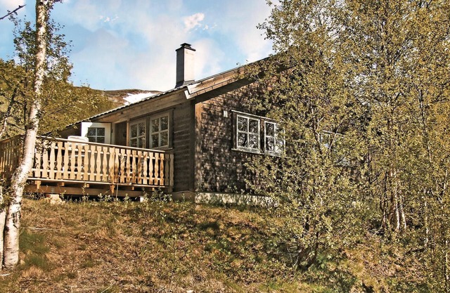 5 bedroom gorgeous home in Geilo