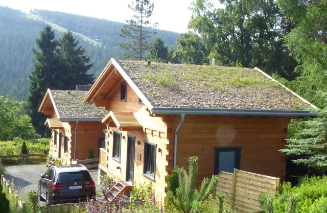 5 * log cabins with sauna, fireplace, terrace, barbecue etc. in alpine chalet style