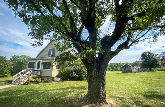 60 acre farm with mountain views & trails. 15 min from Shenandoah National Park
