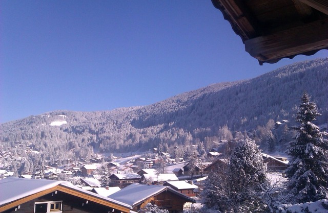 7-28 day stay for best rates- Chalet Les Carroz