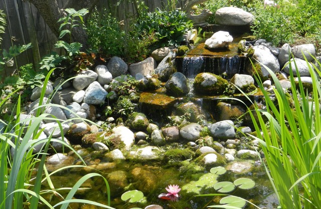 A Garden Stroll B&B