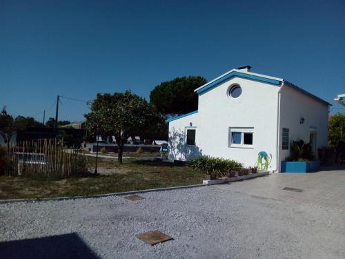 A pequena casa azul