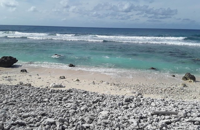 Absolute Beachfront - A touch of Paradise