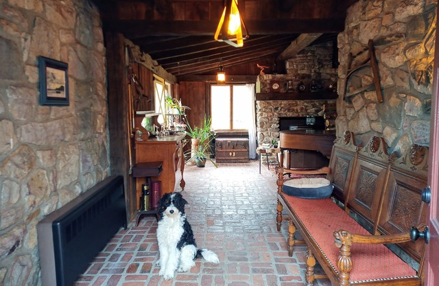 Adventure Doggie's Homestead @ Upper Bucks - No Pet Fees