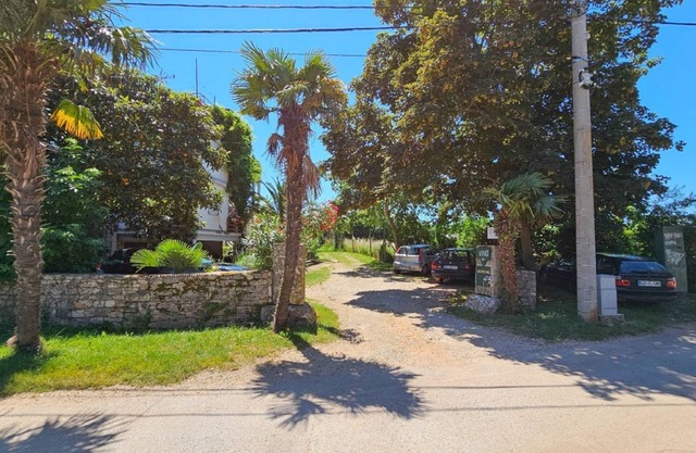 Affordable, dog-friendly apartment just 100 meters from the beach