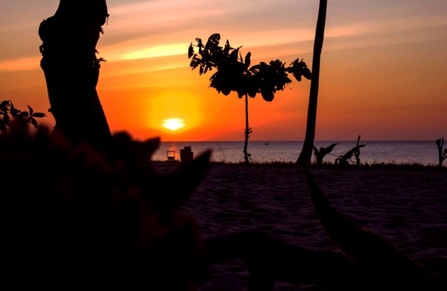 Afro Beach Bungalows & Afro Whale shark safari owned and perated by local commun