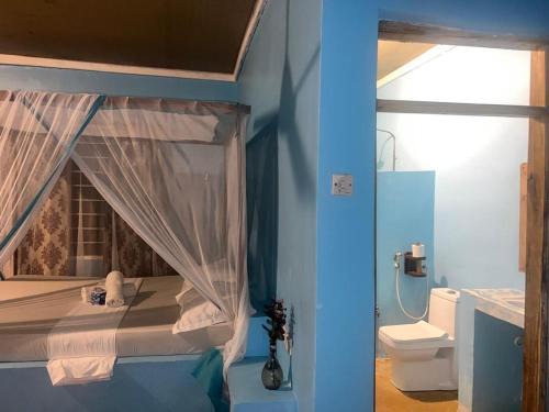 AfroWhaleSharkSafari & AfroBeachBungalows