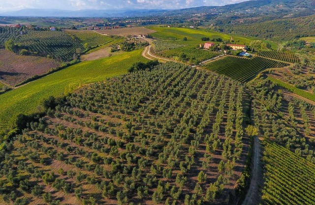 Agriturismo Luggiano